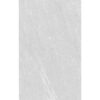 25x40 CAMPANA คาร์บอน-เทา Glossy (A)