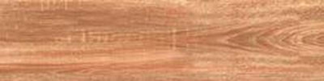 15X60 CAMPANA GP เลกโน่ (MATT)(1.0)0.99/A