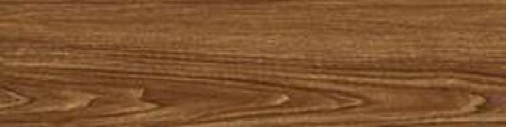 15X60 CAMPANA GP เลกโน่ (MATT)(3.0)0.99/A