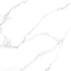60X60 PMH ทิวทิวา-ขาว R/T Glossy 1.44/A